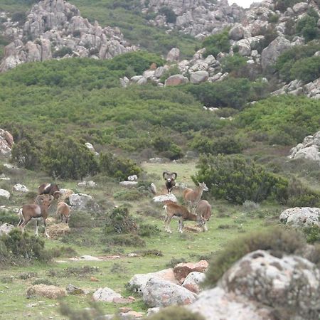 B&B Il Dodo Monastir Екстериор снимка